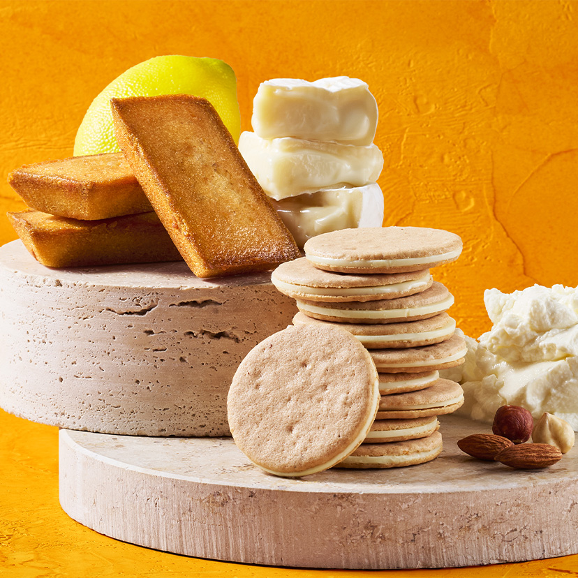 ザ・ドロス｜公式サイト