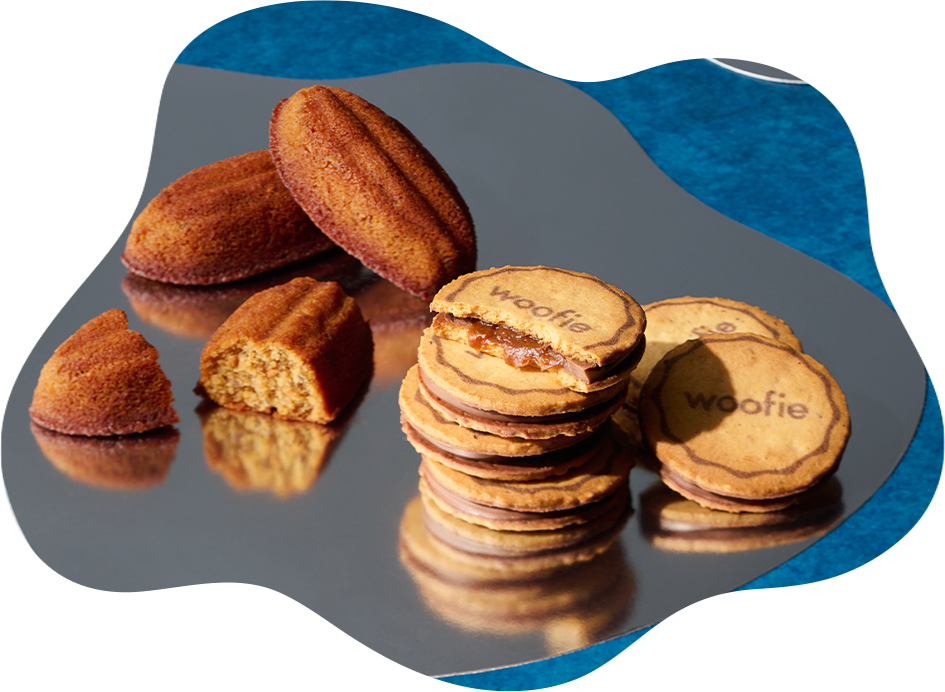 ウーフィセレクション