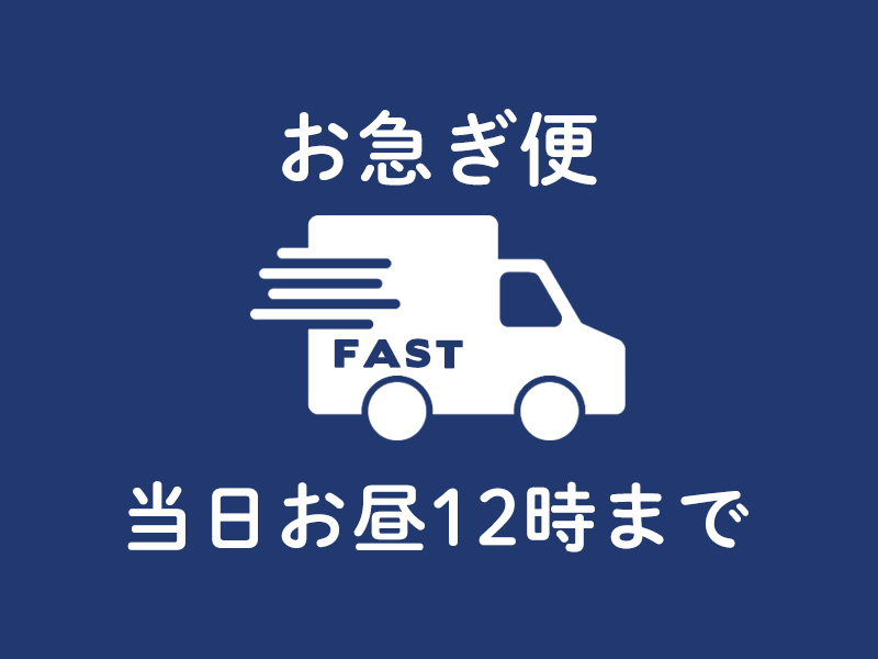 お急ぎ便