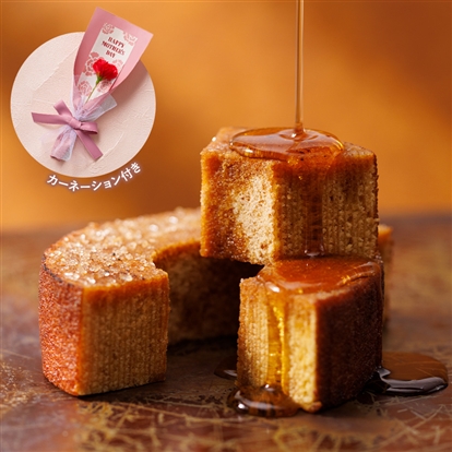 メープルバーム 母の日カーネーションセット